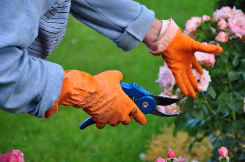 Operator with PPE inspecting equipment in garden